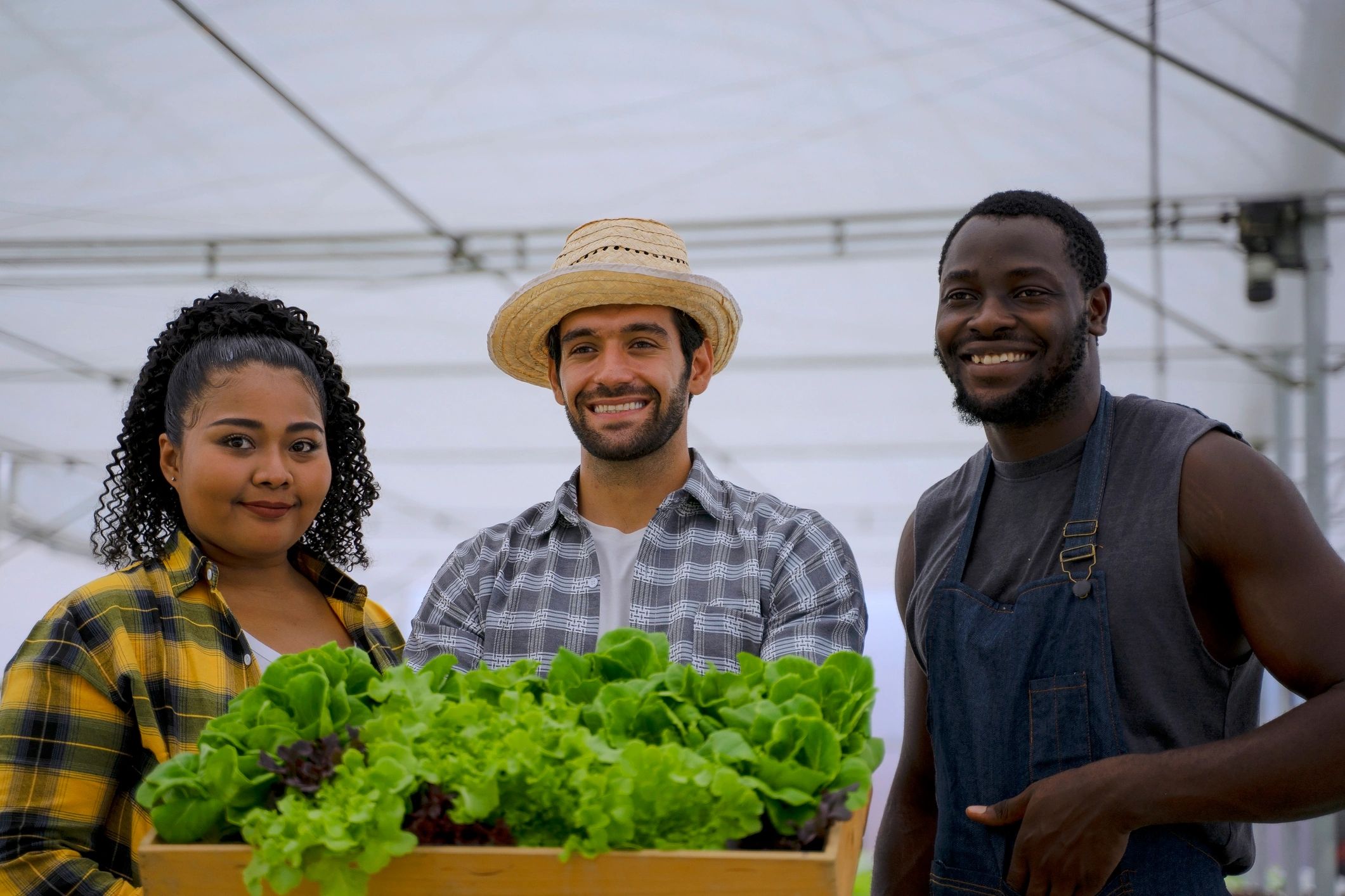 Team members in a greenhouse representing Dr.Melon expertise