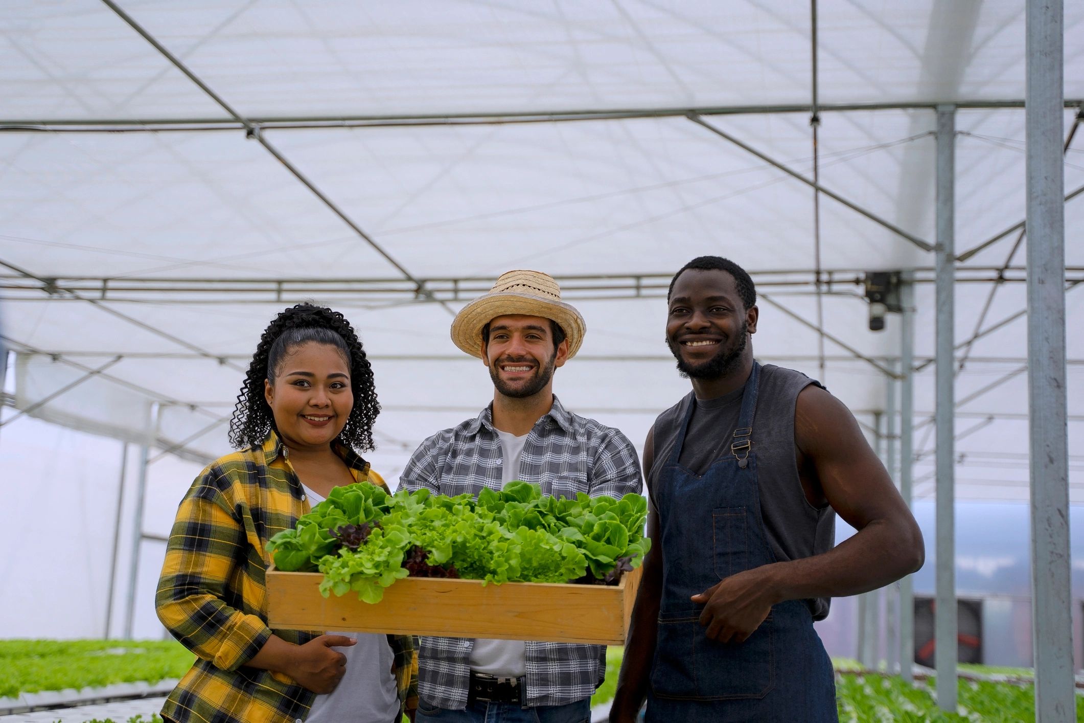 Agriculture team working inside a modern greenhouse