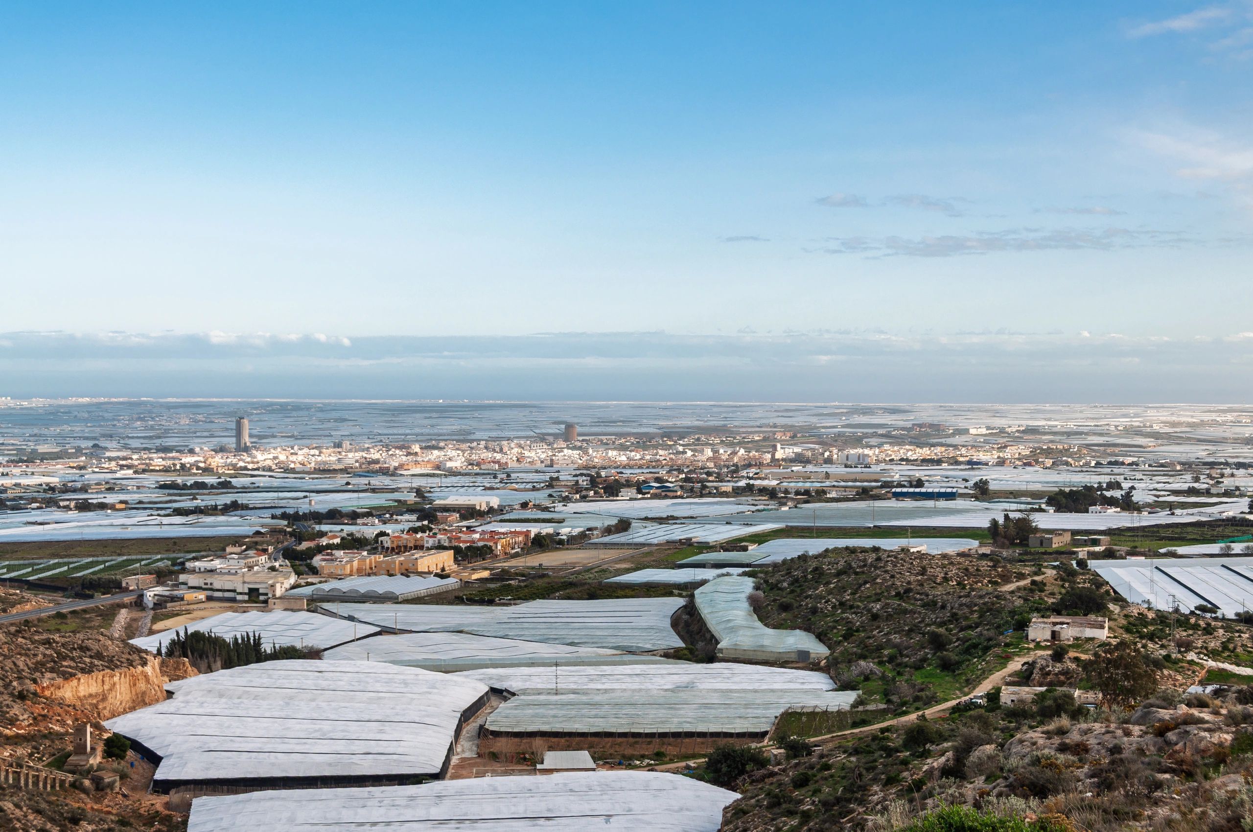 Expansive agricultural greenhouse landscape in a dry climate